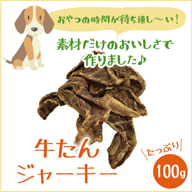 【送料無料】【いとしごのおやつ】犬のおやつ 無添加 牛たんジャーキー 100g×3【厚切り牛タン 犬 おやつ ジャーキー 牛タンの先 ペットフード ドッグフード 素材だけのおいしさ 福袋 小麦アレルギー havepet】