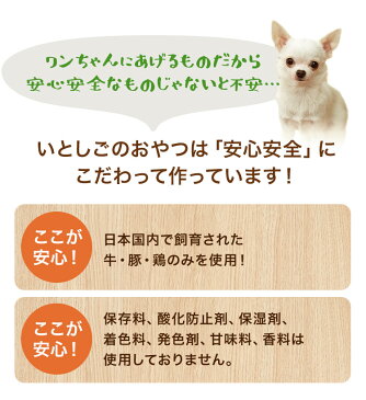 【送料無料】犬 おやつ 鹿肉ジャーキー 200g 【犬おやつ 犬オヤツ 犬用おやつ ペット フード ペットのおやつ ドッグ フード 小型犬 国産 ジャーキー 無添加 硬い 硬め 噛む アレルギー サンプル グレインフリー】