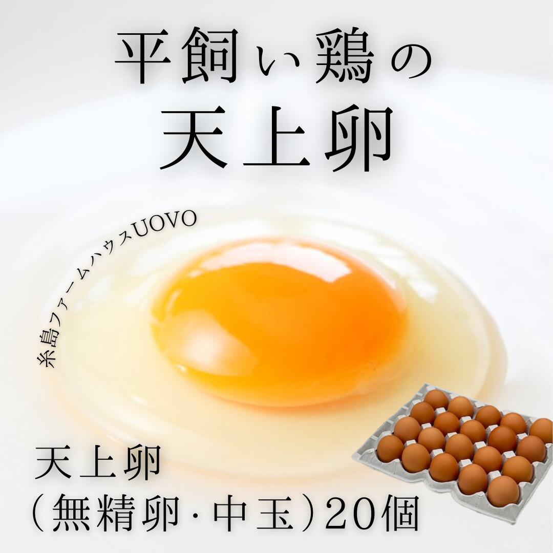 卵 新鮮 生卵 20個入り 高級卵 平飼い卵 糸島産 糸島ファームハウスUOVO 卵料理 スイーツ たまご 配合飼料を使用せず、納得のいく自家配合飼料で育てています。まずは、是非生食でお召し上がりください。 5
