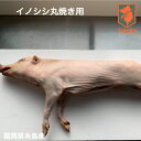 商品画像3