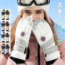 スキーグローブ 防寒手袋 グローブ スノボー メンズ レディース スノーグローブ ッチパネル対応 スキー 手袋 スマホ対応 タッチ 滑り止め 大きめ 防風 登山...