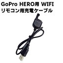 GoPro HERO用 WIFIリモコン用充電ケーブル GoPro ウェアラブルカメラ 用Wi-Fiリモートチャージングケーブル GoPro HERO3/4/5/6/7/8それ以降