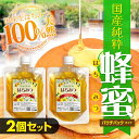 100%天然 国産 生はちみつ 500g (パウチパック 250gx2) 国産はちみつ 非加熱 天然はちみつ 国産ハチミツ 百花はちみつ 生ハチミツ 蜂蜜 百花蜜 風味 濃厚 高級 蜂蜜 ハニー おいしい ハチミツ 瓶 はちみつ お料理 お取り寄せ ギフト 贈り物 記念日 送料無料