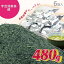 【送料無料】 伊藤茶園 宇治深蒸茶 「都」 お徳用 480g [OTOKU-003-6] 京都 宇治 宇治田原 お茶 茶葉 煎茶 深蒸し煎茶 深蒸 家庭用 お得 徳用 業務用 大容量 まとめ買い 大人買い おすすめ おばあちゃん 京都府宇治産 日本産 お返し 誕生日プレゼント