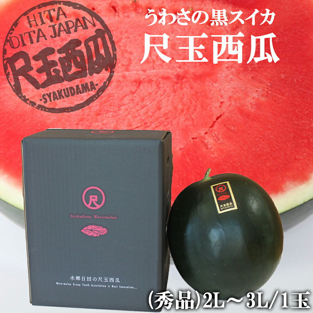 【予約販売中】スイカ 大玉 尺玉西瓜 秀品 2L～3L（約8～9.5kg）送料無料 西瓜 日田スイカ うわさの黒スイカ 種少 黒すいか 家庭用 プレゼント 贈答用 贈り物 お取り寄せ 大分県産 伊藤家の食卓