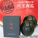 【予約販売中】【100円OFFクーポン】スイカ 大玉 尺玉西瓜 秀品 2玉セット 2L〜3L(約8〜9.5kg)送料無料 西瓜 日田スイカ うわさの黒スイカ 種...