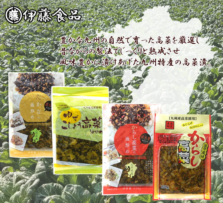 からし高菜の油炒め 120g【単品】辛子高菜 高菜漬け 熟成高菜 乳酸発酵 おにぎり チャーハン ラーメンに！【伊藤食品】≪3袋までメール便270円1配送可能≫