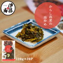 高菜漬け 高菜漬 漬物 高菜 国産 送料無料 辛子高菜の油炒め 120g 20P 漬け物 熟成高菜 乳酸発酵 香ばしい 醤油味 九州の家庭の味 おにぎり チャーハン ラーメン 九州名菜