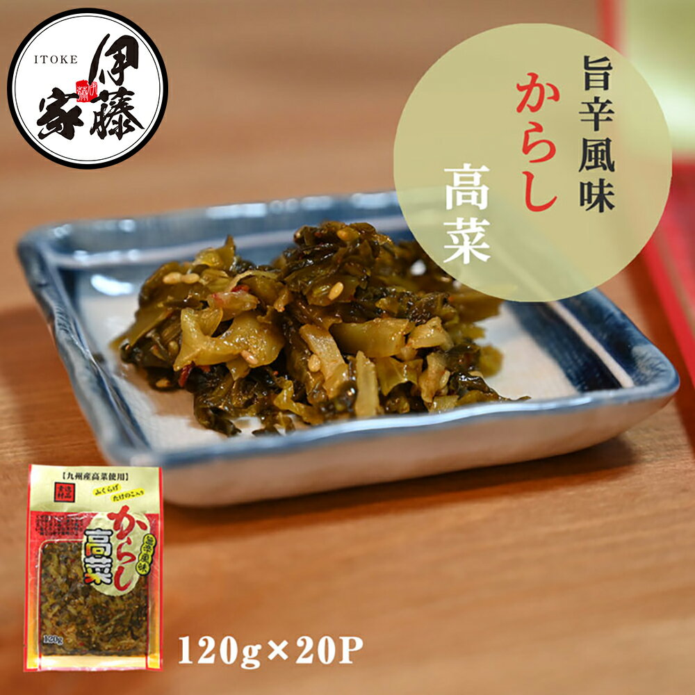 高菜漬け 高菜漬 高菜 国産 送料無料 旨辛からし高菜 120g 20P 漬物 漬け物 山くらげ たけのこ入り 辛子高菜 熟成高菜 乳酸発酵 香ばしい 九州の家庭の味 おにぎり チャーハン ラーメン 九州名菜