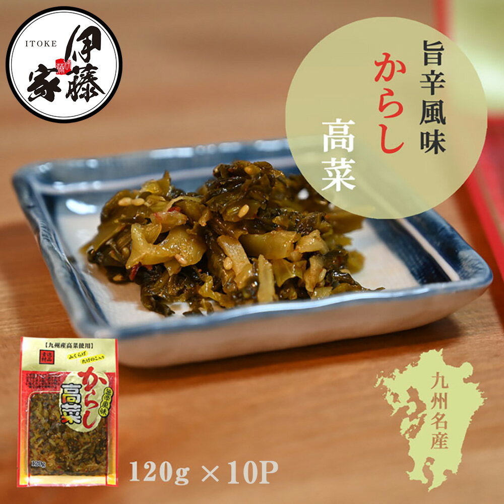 【ポイント5倍】高菜漬け 高菜漬 高菜 国産 送料無料 旨辛からし高菜 120g 10P 漬物 漬け物 山くらげ たけのこ入り 辛子高菜 熟成高菜 乳酸発酵 香ばしい 九州の家庭の味 おにぎり チャーハン ラーメン 九州名菜(4)