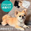 サイズに悩まない ずれない マナーベルト 犬 【男の子・オス用】伸びる 伸縮 高級 接触冷感 マナーパンツ ベルト 洗える マナーウェア マナー用品 おむつ 介...