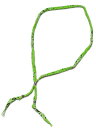 SunKu サンク 39 【 BANDANA NECKLACE / バンダナ ネックレス (LIME GREEN) [ SK-290 ] 】[ 正規品 ] ライムグリーン ペア プレゼント ギフト ユニセックス メンズ レディース 人気 ブランド おしゃれ