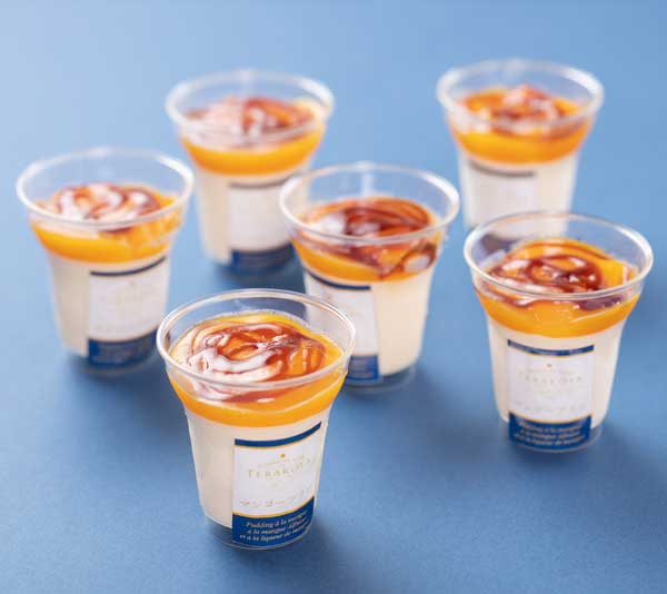 �������������TERAKOYA�ƽ� ǻ���ޥ󥴡��ץ�� TE-M6�ʻ���ľ��������̵��������Բġ�