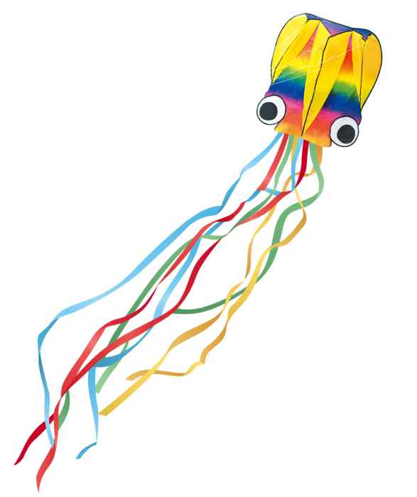 3Dカイト 虹色タコちゃん 350530