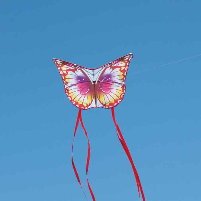 2Dカイト バタフライ レッド 350570
