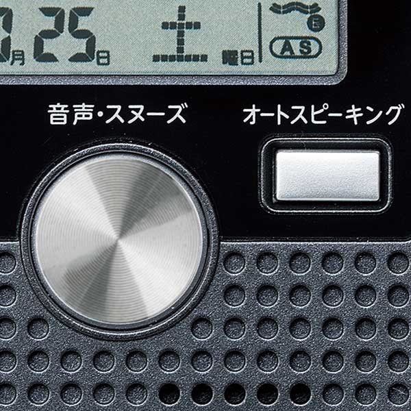 【SEIKO】セイコー 電波時計 トークライナー DA208K [2]