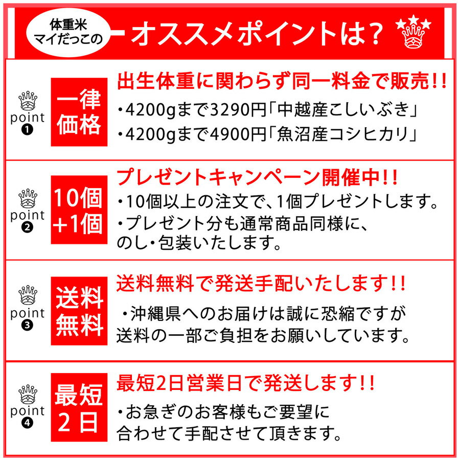 出産内祝い 体重米 一律価格（4200gまで4900円） マイだっこ 魚沼産コシヒカリ 送料無料 名入れ お米 ギフト 誕生祝い 誕生米 出産祝い お返し 内祝い 出生体重米 赤ちゃん米 赤ちゃん体重米 米だっこ 抱っこ まいだっこ マイダッコ 出生米 お米ギフト