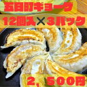 ご当地餃子 五日町ギョーザ 新潟県産 冷凍餃子 つなんポーク 高原野...(4)