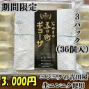 五日町餃子 生ニンニク ニンニク餃子 青森県産 吉田屋 ニンニク増し増し 臭い少なめ 甘い 餃子 ご当地 掘れたて生ニンニク スタミナ つなんポーク 国産材料 送料無料 冷凍餃子(4)