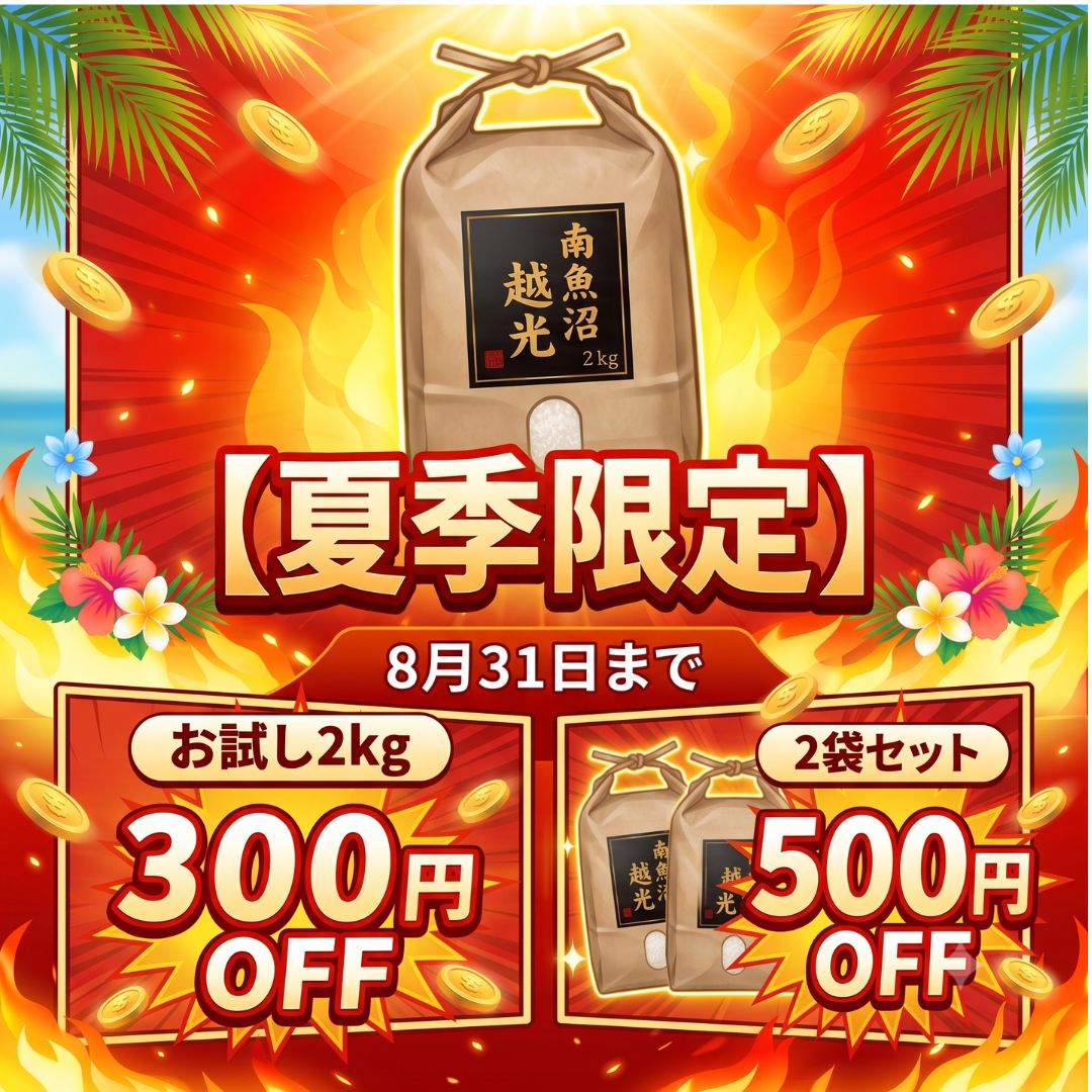 五日町ギョーザ 楽天市場店の【送料無料 お試し】令和7年産 新潟県南魚沼 塩沢産 特別栽培米コシヒカリ 2kg 特A 新潟県認証 減農薬 白米｜アングル2