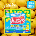 ハッピーターン 瀬戸内レモン風味 レモン 中四国限定 お土産 帰省土産 手土産 お菓子 スナック菓子 個包装 プレゼント ギフト 檸檬 限定 高級 甘じょっぱい 粉 スナック れもん 瀬戸内海 期間限定 大容量