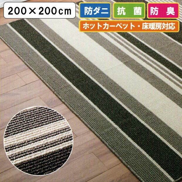 ダニ エスケープラグ 日本製 ラグ 200×200cm 正方形 防ダニ 抗菌 防臭 アース製薬 ラグ 敷物 リビング ダニ忌避効果 アレルギー 殺虫成分不使用 防臭 ホットカーペット 床暖房 対応