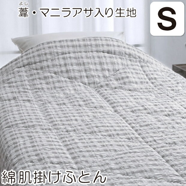 Rakuten - ロマンス小杉 葦 マニラアサ入 綿肌掛けふとん シングルサイズ 140×190cm ロマンス 肌ふとん 肌布団 肌掛け布団