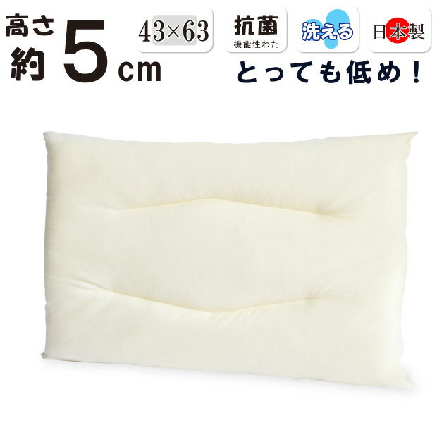 低い枕 低め 約5cm 洗える枕 43×63cm 日本製 綿100％ 薄型 薄い 肩こりに 女性 テイジン フィルケアECO わた ピロー まくら ペラペラ 軽量 子供 すごく低い 超低め 洗える 丸洗い 低めの 薄め 低い 高さ ロー パット 5センチ ストレートネック