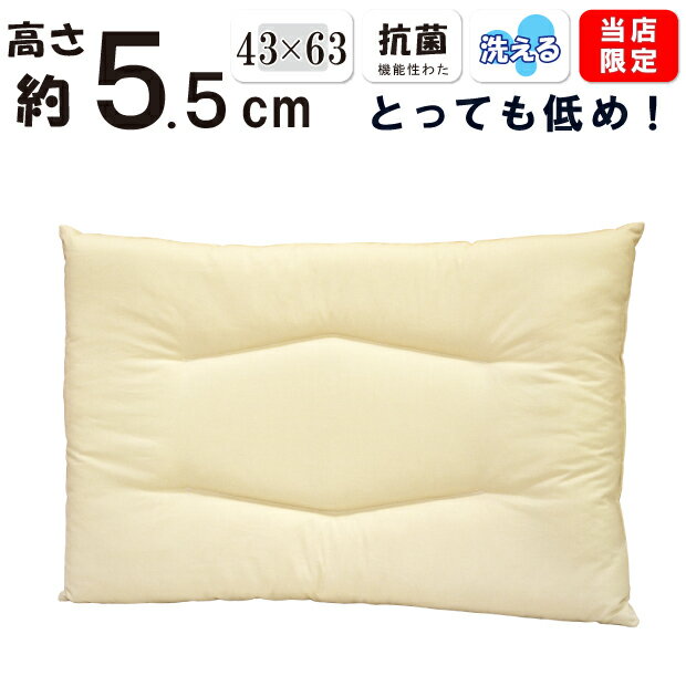 【中綿増量 クッション性アップ】低い枕 低め 約5.5cm 洗える枕 43×63cm 日本製 綿100％ 薄型 薄い 肩こりに 女性 テイジン フィルケア わた ピロー まくら 軽量 子供 超低め 洗える 丸洗い 低めの 薄め 高さ ロー パット 5センチ ストレートネック 平らな枕 平 平たい