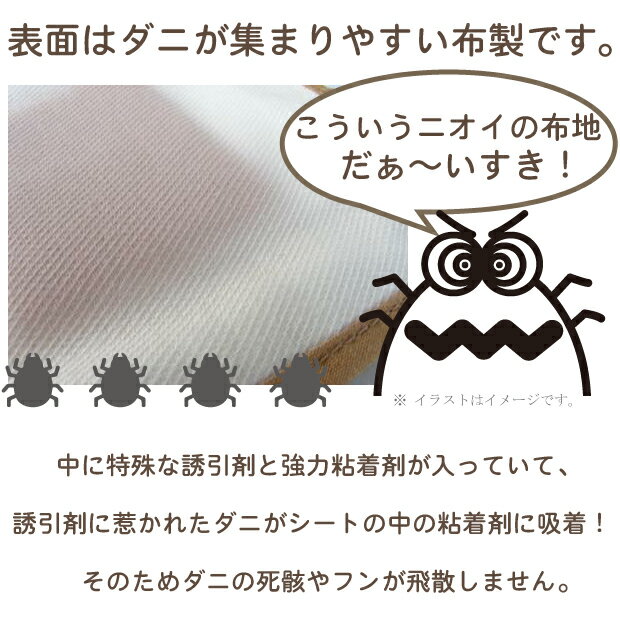 ������ꥷ���� �դȤ��� 2������ ���˼�ꥷ���� �����к� ���� �ޥåȥ쥹 ������Ի��� �����༣������ ���˥����� ���˥ۥƥ� ������ 3����