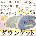 【ニューゴールドラベル】高級ダウンケット(シングルロング・150×210cm) 羽毛肌掛け布団 日本製 肌布団 春 夏 秋用 夏用羽毛布団 肌かけ はだがけ 300g 0.3キロ 人気 夏がけ 羽毛掛け