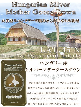 抗菌防臭加工無料 羽毛布団 冬用 西川 シングル ハンガリー産 シルバーマザーグース ダウン93％ ロングサイズ 西川リビング 日本製 綿100％カバーサービス　シングルサイズ 羽毛掛け布団 掛布団 送料無料 DP430 二層 ツインキルト