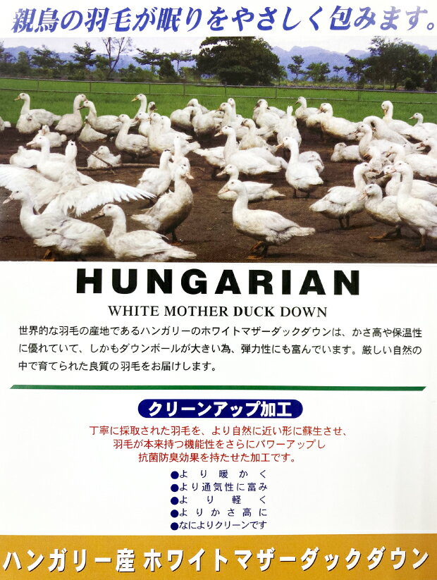 【数量限定】抗菌防臭加工無料 羽毛合い掛け布団...の紹介画像3