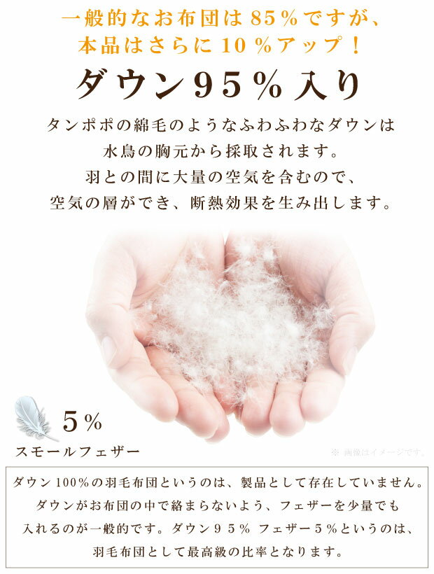 �������륹�ù� �ե�ƥ��� ���ӹ礤�ݤ����� ���󥰥���� 150��210cm �ݡ����ɻ��ۥ磻�ȥޥ���������������95�� 0.6kg DP440 ������ flutect �ݤ����� ��� ���� ���� �������� ���ӳݤ����� �礤�ݤ� ��ݤ� �������� �������� �� �� �����ɽ��ù�̵��