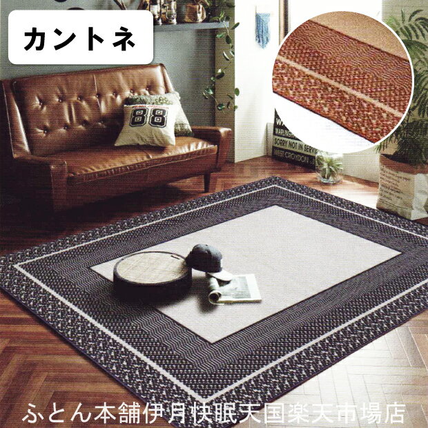 176 cm X 261 cm - イケヒコ はっ水加工付 ラグカーペット カントネ イケヒコ・コーポレーション Rugs&Mats