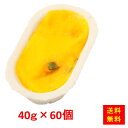 <冷凍> 【送料無料】 27018x60FMグラタン(40)国産かぼちゃ 40gx60個入り 日東ベスト(4)