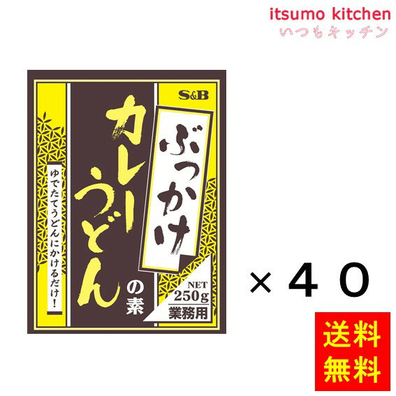 楽天itsumo kitchen【送料無料】ぶっかけカレーうどんの素 250gx40袋 エスビー食品