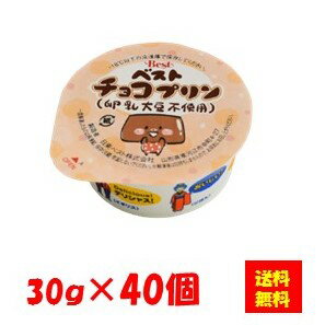 【送料無料】お徳用 冷凍食品 業務用 お弁当 おかず おつまみ おうちごはん ステイホーム 家飲み パーティー 時短 まとめ買い おやつ デザート スイーツ ベストチョコプリン(卵乳大豆不使用) 30gx40個入 日東ベスト