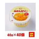 【送料無料】お徳用 冷凍食品 業務用 お弁当 おかず おつま