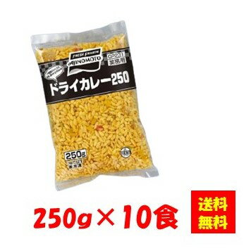 【送料無料】お徳用 冷凍食品 業務用 お弁当 おかず おつまみ 惣菜 おうちごはん ステイホーム 家飲み パーティー 時短 まとめ買い ランチ 丼 ドライカレー 250gx10食 味の素冷凍食品