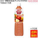【送料無料】 野菜生活100 アップルサラダ PET 720ml×15本 カゴメ