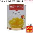 【送料無料】 缶詰 サニーサイド りんご ダイズ 1号缶 3000g×6個 フルーツ 石光商事 缶詰め