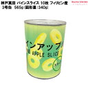 缶詰 パインスライス 10枚 フィリピン産 3号缶 フルーツ 缶詰め 神戸真田