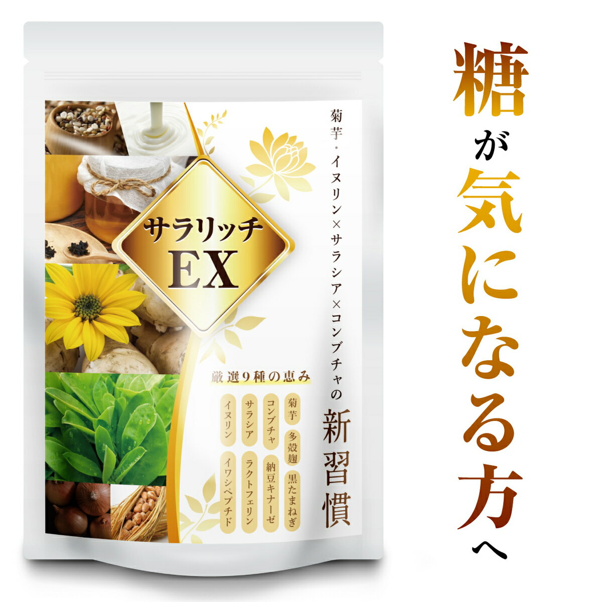 【3点以上購入で10%OFFクーポン配布中！】 イヌリン 菊芋 サラシア 菊芋 サプリ 食物繊維 コンブチャ サプリ ナットウキナーゼ ラクトフェリン サラリッチEX 180粒 イワシペプチド 多殻麹 黒たまねぎ 送料無料 増税 キャッシュレス 還元