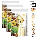 菊芋 サプリ イヌリン 食物繊維 コンブチャ サラシア ナットウキナーゼ 血糖値 が気になる方へ 注目の成分 ラクトフェリン サラリッチEX 3個セット 540粒 イワシペプチド 多殻麹 黒たまねぎ 送料無料