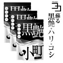 セサミン 黒髪 サプリ ビオチン biotin 黒ごま 黒ウコン ブラックジンジャー 椿油 白髪 染めが面倒な方へ送る サプリメント 黒艶小町 3個セット 送料無料 いつもココ ポイント消化