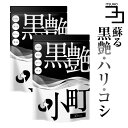 【本日限定クーポンで100円OFF!!】 セサミン 黒髪 サプリ ビオチン biotin 黒ごま 黒ウコン ブラックジンジャー 椿油 白髪 染めが面倒な方へ送る サプリメント 黒艶小町 2個セット 120粒 送料無料 いつもココ ポイント消化