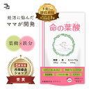 葉酸サプリ 無添加 17種 産婦人科医推奨 命の葉酸 ベータカロテン不使用 飲みやすい3mmサイズ 妊婦 妊娠 妊活 葉酸 葉酸サプリ 妊活サプリ 産前 産後 貧血 生理不順 120粒 一日4粒目安