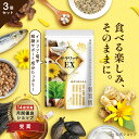 \6380円→3190円★楽天スーパーSALE限定/ 血糖値 サプリ 菊芋 イヌリン 食物繊維 コンブチャ サラシア ナットウキナーゼ ダイエットサプリ 糖質 吸収 抑える ラクトフェリン イワシペプチド 多殻麹 黒たまねぎ サラリッチEX 540粒 3個セット 一日6粒目安