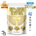 乳酸菌 酪酸菌 サプリ 短鎖脂肪酸 腸活 プロバイオティクス オリゴ糖 食物繊維 炭 キトサン 腸 腸活 腸内 環境 腸内フローラ ラクトフ..